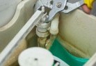 Pheasant Creektoilet-replacement-plumbers-3.jpg; ?>